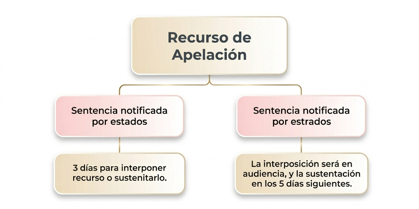 RECURSO DE APELACIÓN